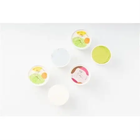 福岡県産 農家が作る本格ジェラート　乳製品フリーおまかせ3種セット×各2つ　計6個_菓子・スイーツ アイス・ジェラート  _【配送不可地域：離島】【1543311】