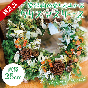 【11月下旬以降発送・数量限定】常緑樹の香りあふれるクリスマスリース（限定品）【インテリア おしゃれ 壁飾り プレゼント お花 ギフト ナチュラル クリスマス リース 水戸市 水戸 茨城県】（KW-3）