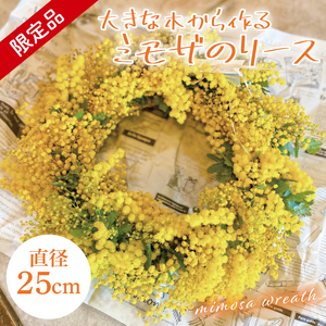 【先行予約】【2027年3月以降配送・数量限定】大きな木から作るミモザのリース（限定品）【インテリア おしゃれ 壁飾り プレゼント お花 ギフト ナチュラル アレンジ フラワーアレンジ 水戸市 水戸 茨城県】（KW-5）