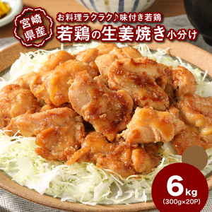 宮崎県産若鶏の生姜焼き 小分け 6㎏_K16_0133_1