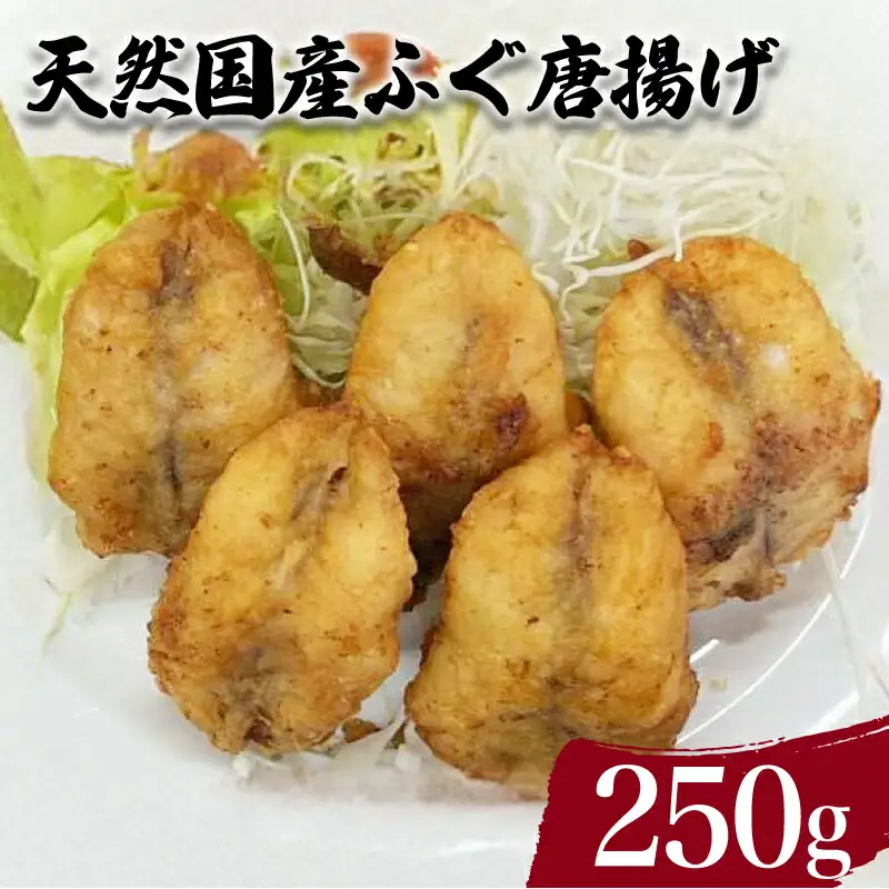 天然国産 ふぐ から揚げ 250g ( 鮮魚 魚介 海鮮 フグ 河豚 海の幸 加工品 惣菜 唐揚げ お手軽 便利  簡単調理 揚げるだけ おかず ごはんのお供 ご飯 お米 夕食 おやつ おつまみ 酒 ビール ) 下関 山口 JD009