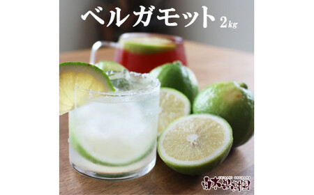 【先行予約】＜果樹園直送＞ 白木果樹園産 ベルガモット 約2kg 1キロ 10~15個入り〈2026年10月下旬?12月下旬頃発送〉  / 果物 くだもの 果実 柑橘類 柑橘 爽やか フレッシュ 新鮮 デトックスウォーター【白木果樹園】 [BQAI045]