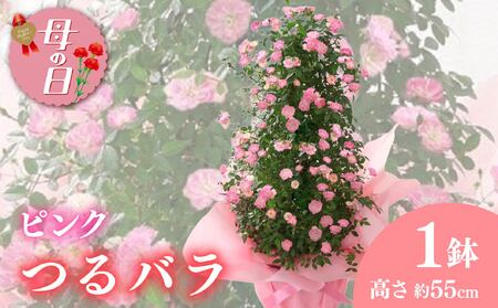 母の日 【先行予約2026年5月から順次発送】 母の日ギフト つるバラ舞姫タワー仕立て ピンク