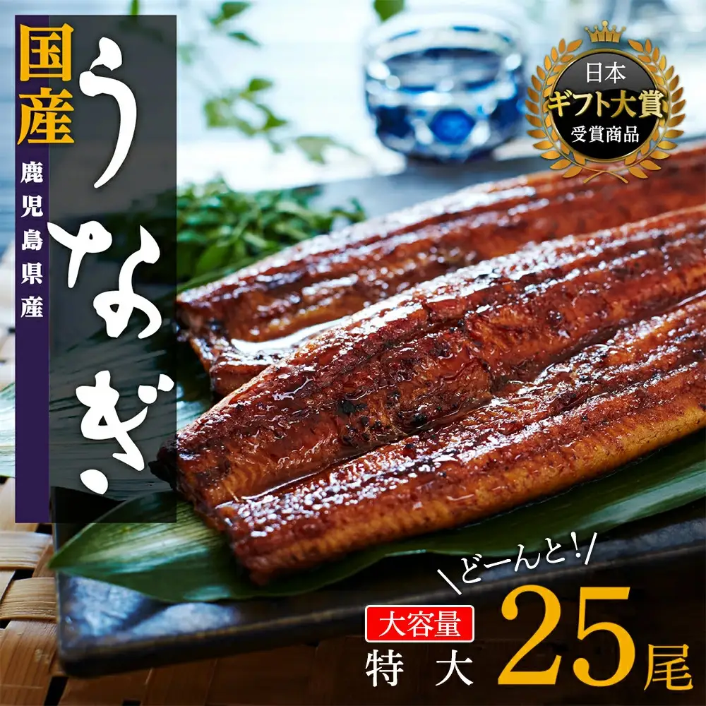 どーんとお届け！特大25尾　鹿児島県産長蒲焼