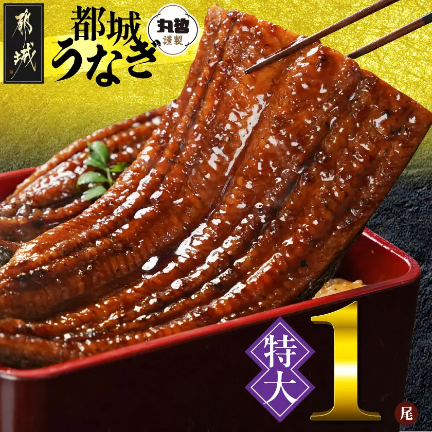 宮崎県育ちの【特大】うなぎ蒲焼1尾210g以上≪山椒・たれ付≫〔11-M301〕_(都城市)  特大うなぎ蒲焼(有頭) 宮崎県産 真空 山椒・たれ付
