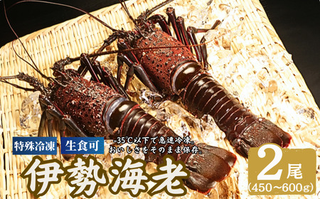 【 伊勢海老 】 冷凍伊勢海老 2尾