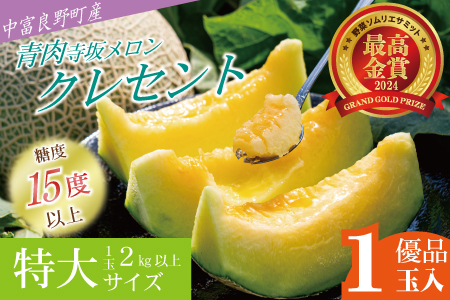 【2026年発送】【中富良野町】寺坂メロン　1玉入り（青肉特大）【BF-027】
