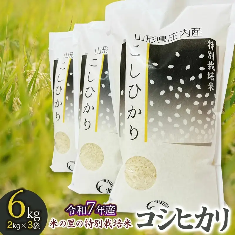 【令和7年産】米の里の特別栽培米 コシヒカリ 精米 6kg(2kg×3袋)　山形県鶴岡市産　K-763
