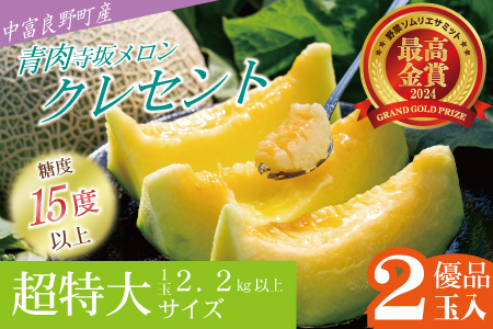 【2026年発送】【中富良野町】寺坂メロン　2玉入り（青肉超特大）【BF-031】