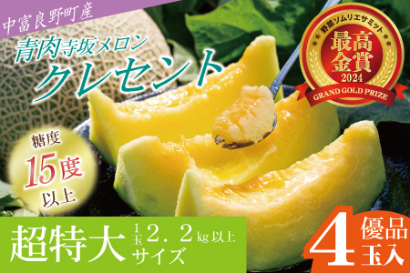 【2026年発送】【中富良野町】寺坂メロン　4玉入り（青肉超特大）【BF-032】