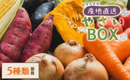 野菜 5種類前後【野菜 野菜 野菜 野菜 野菜 野菜 野菜】 yr-0027