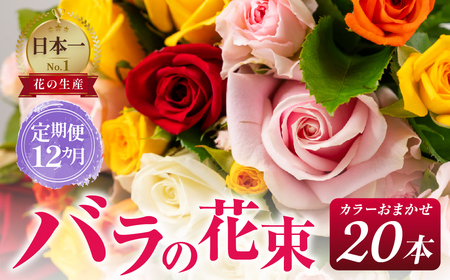 【定期便】バラ 花束 20本 定期便 12カ月コース