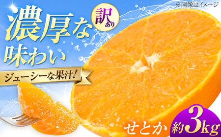 みかん 訳あり せとか 約3kg フルーツ 果物 みかん 訳あり BJBE002