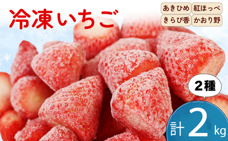 冷凍いちご 2kg いちご 苺