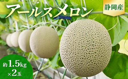 【2026年7月より順次発送】アールスメロン 2個 セット 約1.5kg×2個 静岡県浜松市産 メロン 2玉 果物 フルーツ 静岡 浜松市 三ヶ日