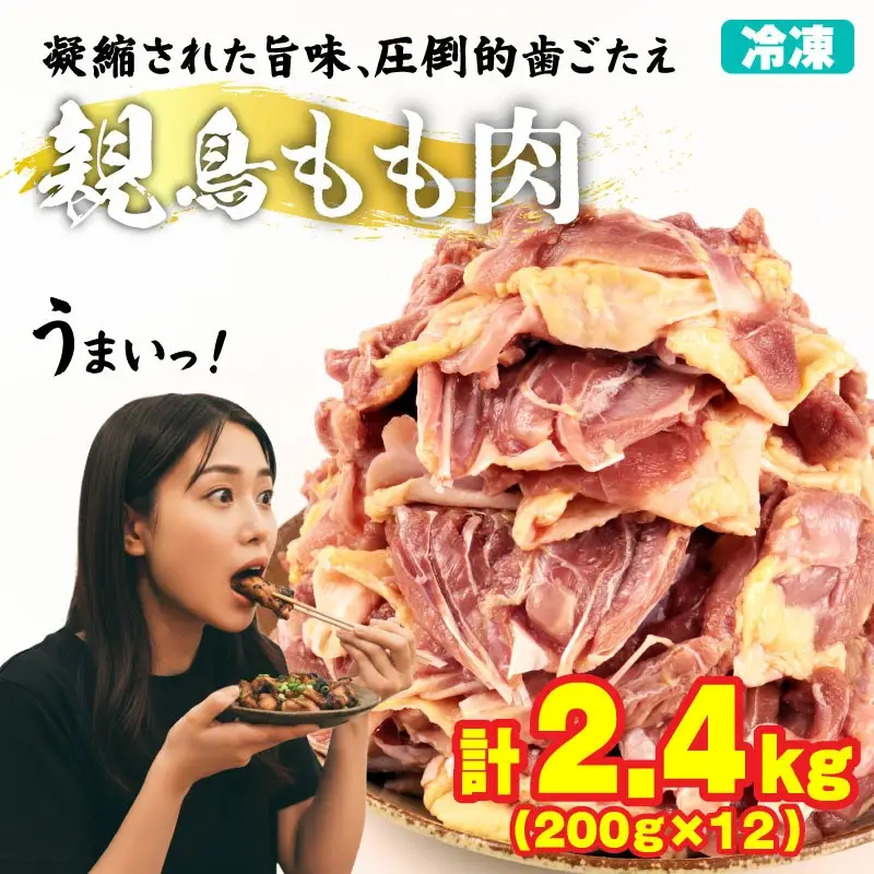 親鶏 もも肉 2.4kg 200g × 12 パック 親鳥 
