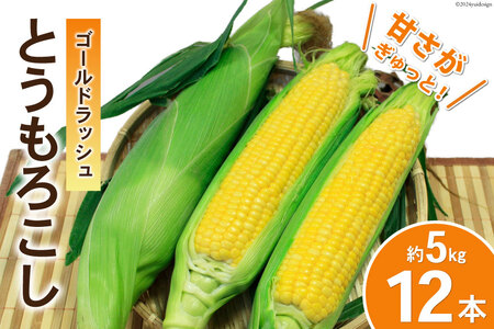 【期間限定発送】 野菜 とうもろこし ( ゴールドラッシュ ) 12本入 約5kg [笛吹農業協同組合 山梨県 中央市 21470872] やさい トウモロコシ コーン 甘い スイートコーン 季節限定 期間限定【2026年6月上旬～7月上旬発送予定】