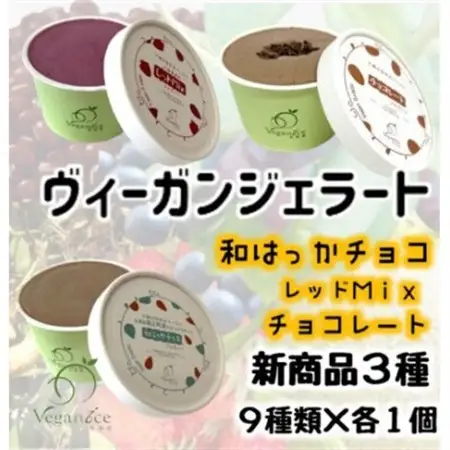 北海道産ヴィーガンジェラート　6個+新商品3個セット_菓子・スイーツ アイス・ジェラート  _【配送不可地域：離島】【1506388】