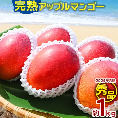 マンゴー【2026年発送】完熟アップルマンゴー秀品・約1kg