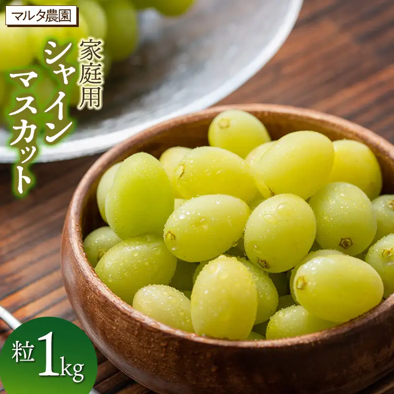 【令和8年産先行予約】【令和9年3月13日まで発送】 家庭用 シャインマスカット 粒 1kg　マルタ農園　 | シャインマスカット ブドウ ぶどう 葡萄 フルーツ 果物 くだもの 山形県 鶴岡市 家庭用 国産 先行予約
