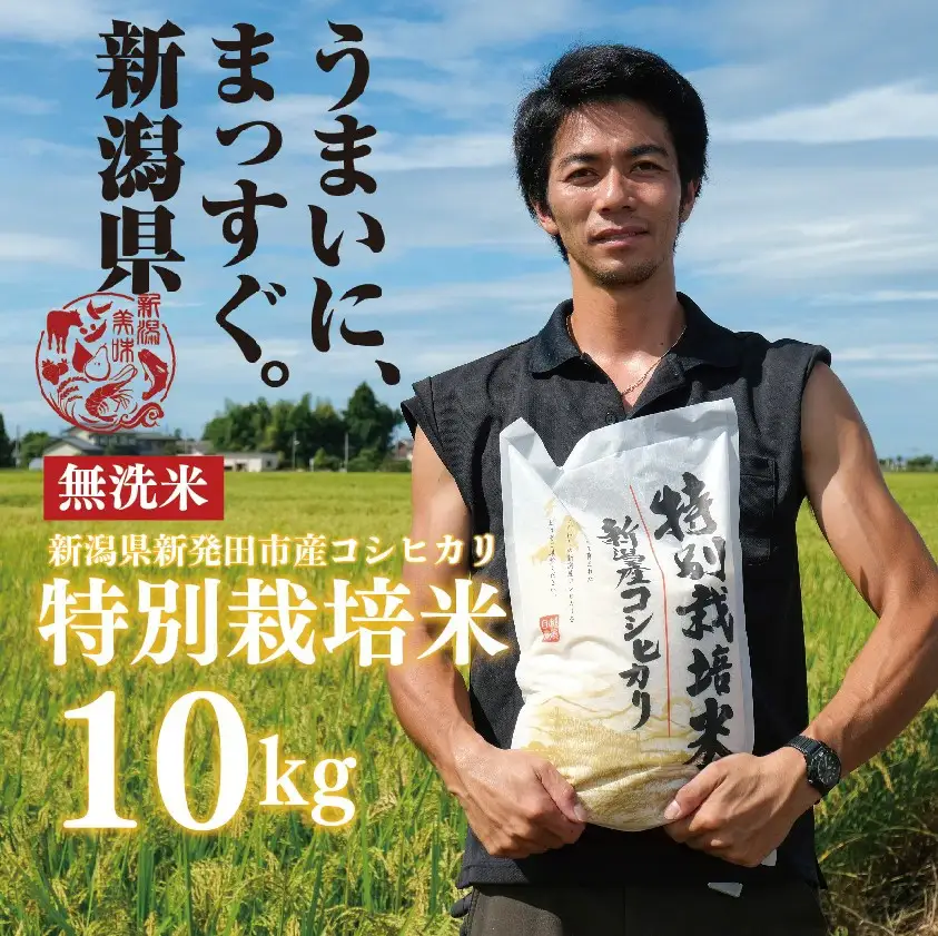 無洗米 10kg 令和7年産 コシヒカリ 新潟 toushin011_03