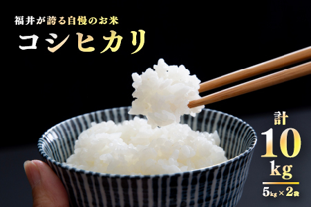 【数量限定！20袋限定販売！！】令和7年産　コシヒカリ　通常便（1回配送）計10kg（5kg×2袋）