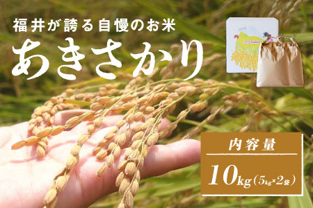 令和7年産  あきさかり　通常便（1回配送）計10kg（5kg×2袋）