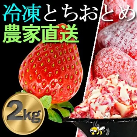 農家直送!削りイチゴパフェも楽しめるBELL FARMの美味しい冷凍いちご2kg【苺1kg×2箱】【配送不可地域：離島】【1013445】