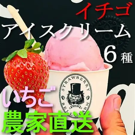 摘み立て苺アイス 人気のいちごアイスクリームセット　Bell Farm のこだわり 6個セット【配送不可地域：離島】【1133535】