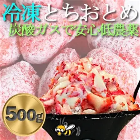 農家直送だから苺本来の美味しさ!BELL FARMの冷凍 いちご500g 収穫当日冷凍の苺【配送不可地域：離島】【1506089】
