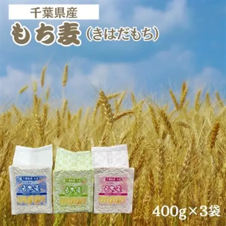 もち麦セット　食物繊維たっぷりの「もち麦」(きはだもち) 400g×3袋 千葉県横芝光町産【1522910】