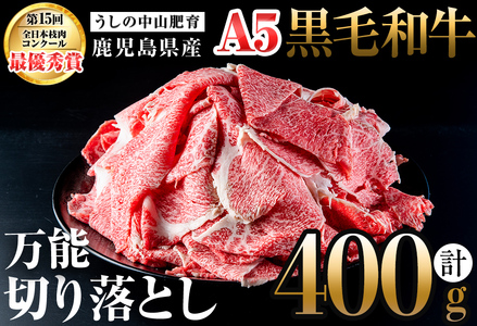 ＜A5等級＞鹿児島県産 黒毛和牛万能切り落とし(計400g /400g×1P) 黒毛和牛 和牛 切り落とし 肉 牛肉 国産 九州産 鹿児島県産 すき焼き しゃぶしゃぶ 小分け A5 日本一 ランキング 人気 a0-360