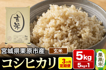 《定期便3ヶ月》【令和7年産・玄米】宮城県栗原産 コシヒカリ 毎月5kg (5kg×1袋)×3ヶ月