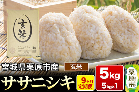 《定期便9ヶ月》【令和7年産・玄米】宮城県産 ササニシキ 毎月5kg (5kg×1袋)×9ヶ月