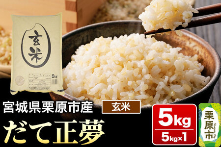 【令和7年産・玄米】宮城県栗原市産 だて正夢 5kg (5kg×1袋)