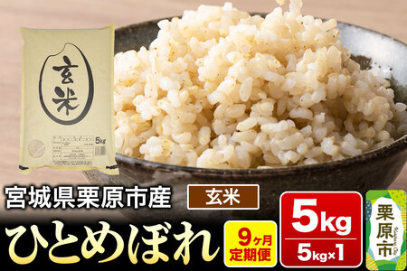 《定期便9ヶ月》【令和7年産・玄米】宮城県栗原産 ひとめぼれ 毎月5kg (5kg×1袋)×9ヶ月