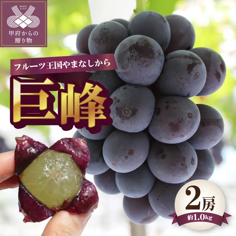 【ふるなび限定】〈2026年度配送分〉巨峰2房（約1.0kg） FN-Limited-SP
