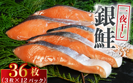 銀鮭 一夜干し 36枚