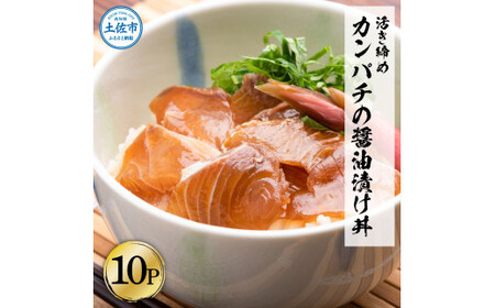 訳あり 活き締めカンパチの醤油漬け丼(10P)セット かんぱち 醤油 特製タレ 惣菜 魚 魚介類 海鮮 海鮮丼 お茶漬け 新鮮 高鮮度 ご自宅用 ご家庭用 美味しい【企業組合　宇佐もん工房】 [BQAB034]