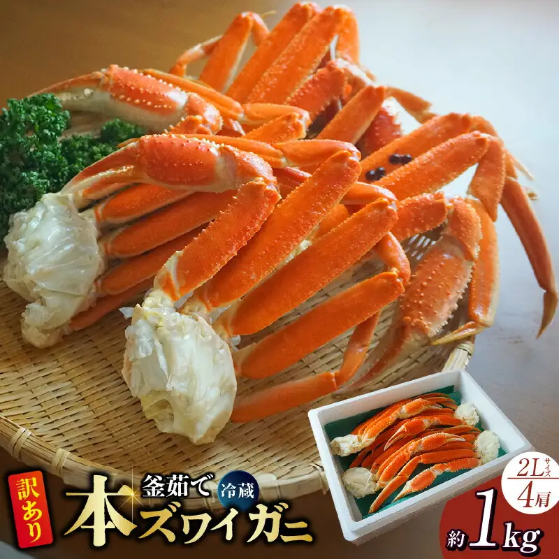 【訳あり】釜茹で 本ズワイガニ 2L 4肩 約1kg ズワイガニ【令和8年9月上旬以降発送予定】かに カニ  07-119