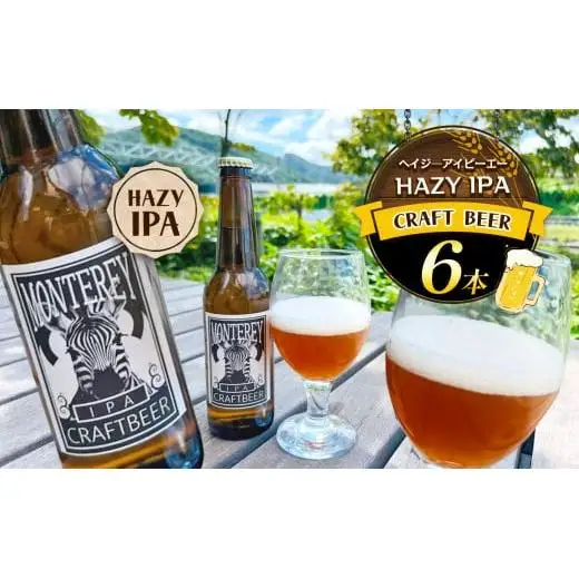 クラフトビール6本　HAZY IPA