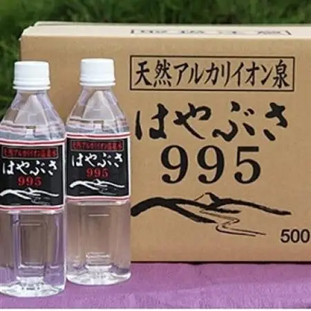 【毎月定期便】りょう泉はやぶさ　995〈500ml×24本〉全3回【4058671】