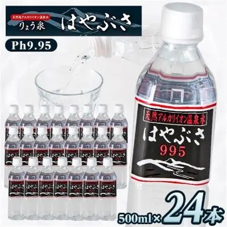 【毎月定期便】りょう泉はやぶさ　995〈500ml×24本〉全6回【4058673】