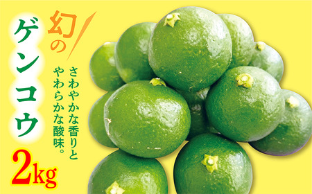 【数量限定】幻の ゲンコウ 2kg _b-421