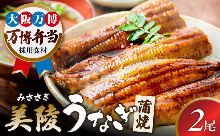 【お中元対象】鰻 鰻の蒲焼 2尾 BLAM003