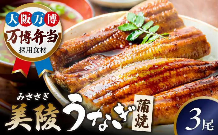 【お中元対象】鰻 鰻の蒲焼 3尾 BLAM006
