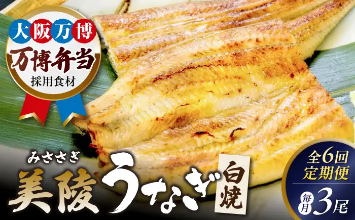 【全6回】鰻 鰻の白焼 3尾 BLAM012