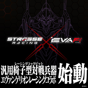 STRASSE RCZ01 TYPE EVA RACING レーシングコックピット シート付 ／ コスティック エヴァンゲリオン エヴァ コラボ 初号機モデル 公式ライセンス商品 奈良県 御所市