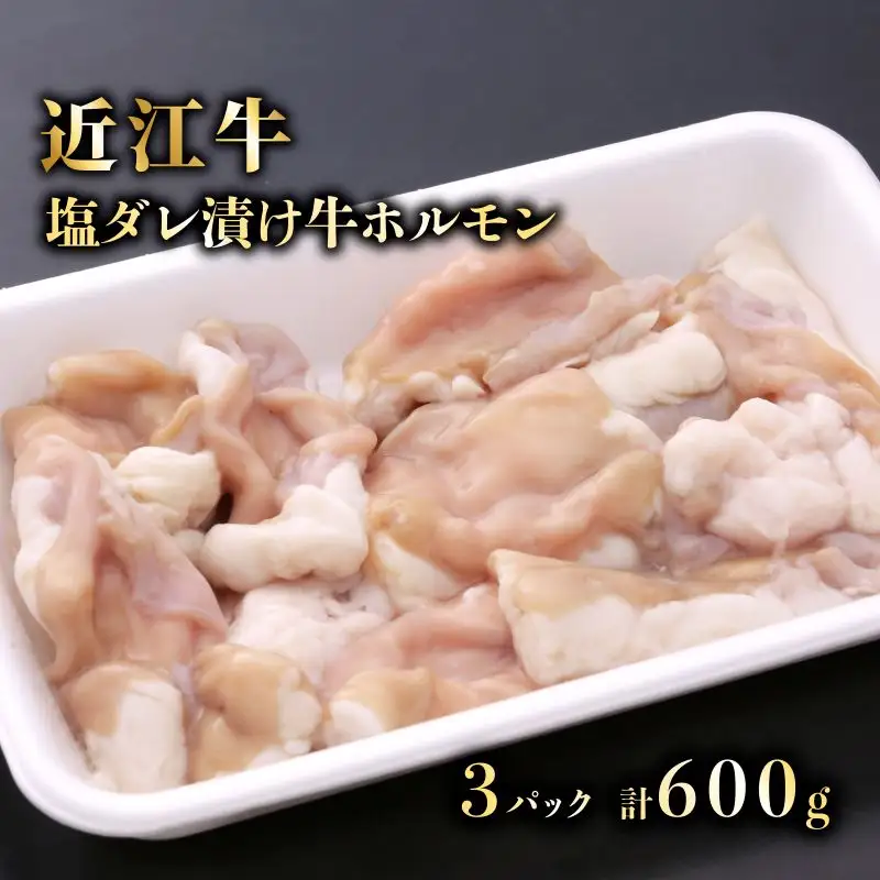特選近江牛ホルモン（塩だれタレ漬け）200g×３　計600g《近江牛A5ランクメス牛一頭買い みのや》