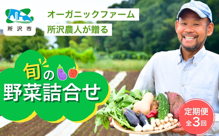【3ヵ月定期便】旬の野菜詰め合わせ 7～8種 | 野菜セット 詰め合わせ 定期便